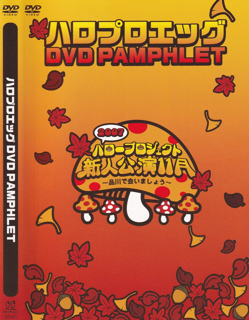 ハロプロエッグ DVD PAMPHLET